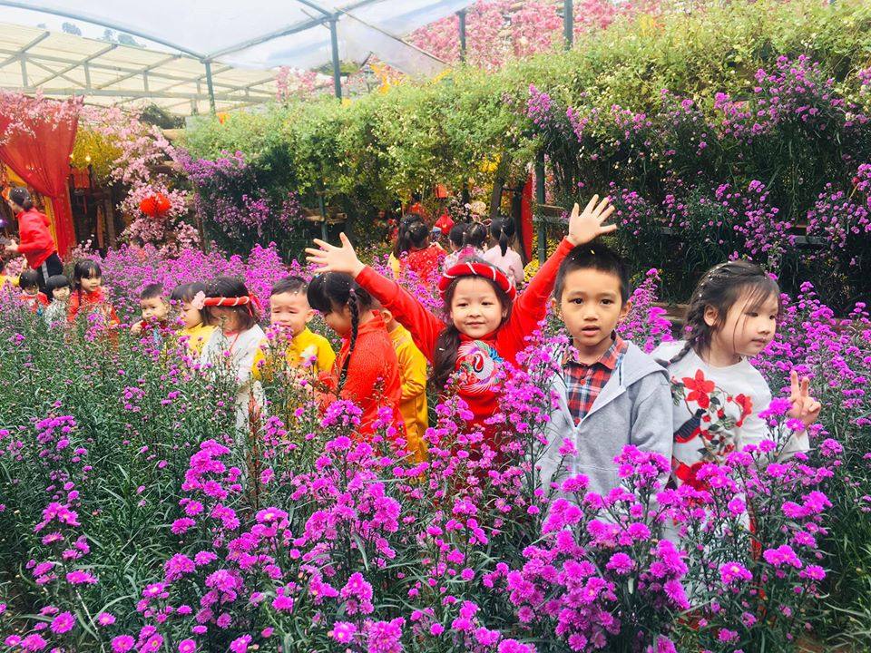 Đội ngũ giáo viên