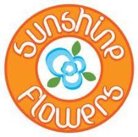 Mầm Non Tư Thục Hoa Nắng - Đại Mỗ