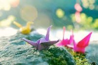 Trường Mầm Non Mơ Ước - Phong Phú