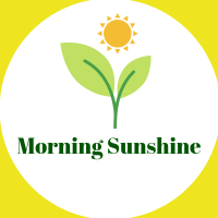 Trường mầm non Nắng Ban Mai (Morning Sunshine Preschool) - Chàng Sơn
