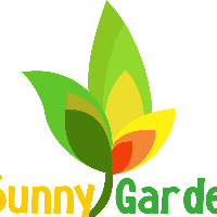 Trường Mầm Non Vườn Nắng - Sunny Garden - Phạm Hữu Lầu