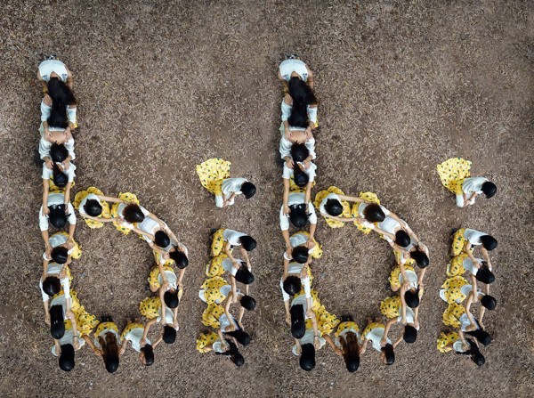 Trường mầm non BiBi Home - Đặng Văn Ngữ