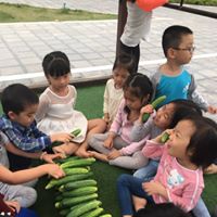 Trường mầm non tư thục Ngôi Nhà Mặt Trời - Ngô Thì Nhậm