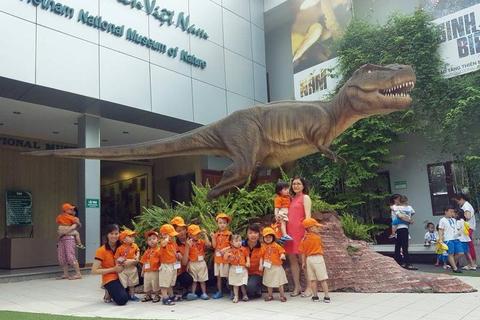 Trường mầm non Bình Minh - Đống Đa