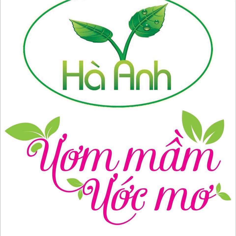 Trường mầm non Hà Anh Montessori - Khương Hạ