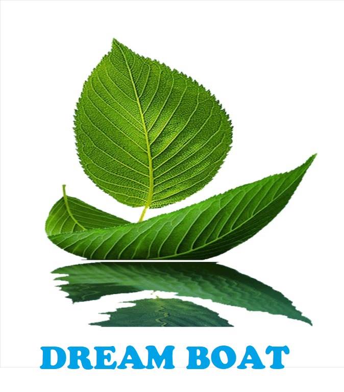 Trường mầm non Con Thuyền Ước Mơ ( Dream Boat) -  Lê Văn Lương