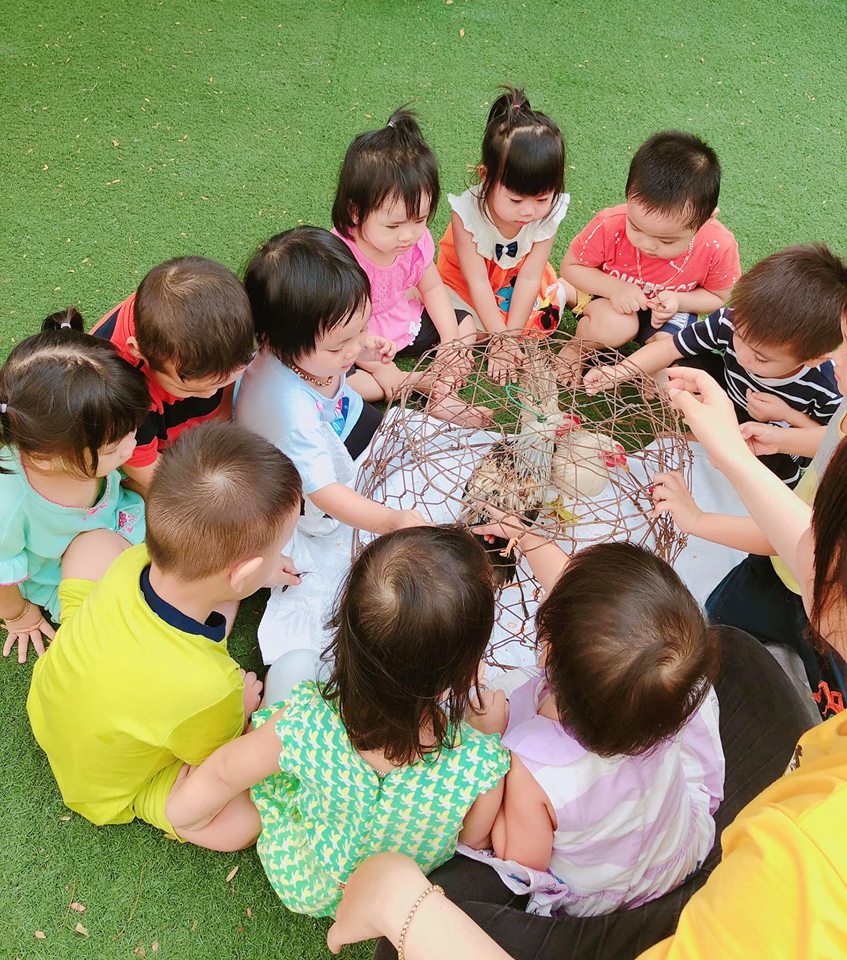 Trường mầm non HappyKids (HappyKids Preschool) - Cư Xá Tỉnh Đội