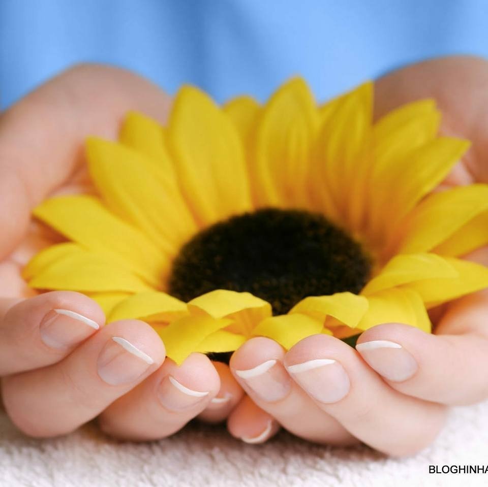 Trường mầm non Hoa Mặt Trời - An Xuân