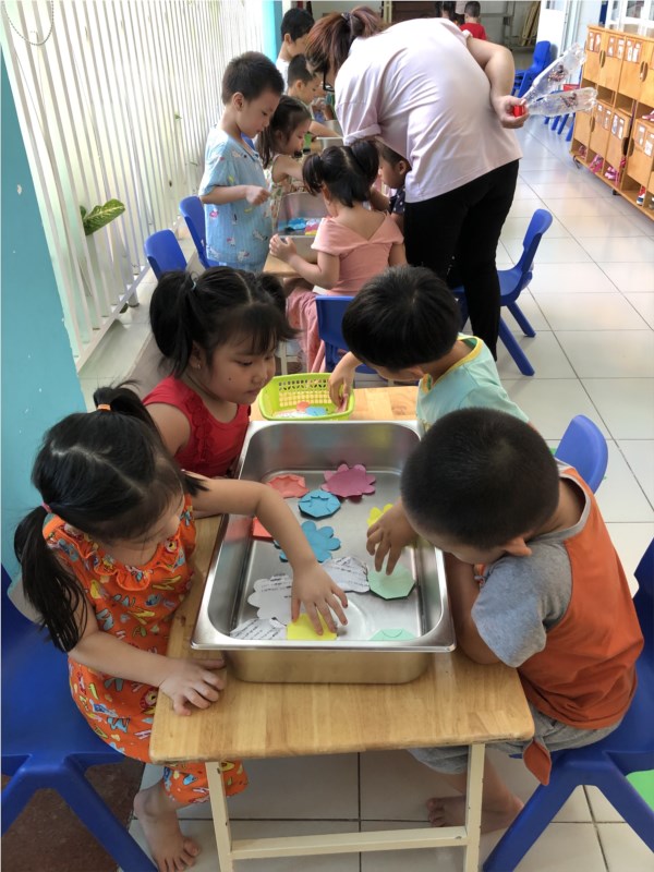 Trường mầm non Họa Mi - Phường 12