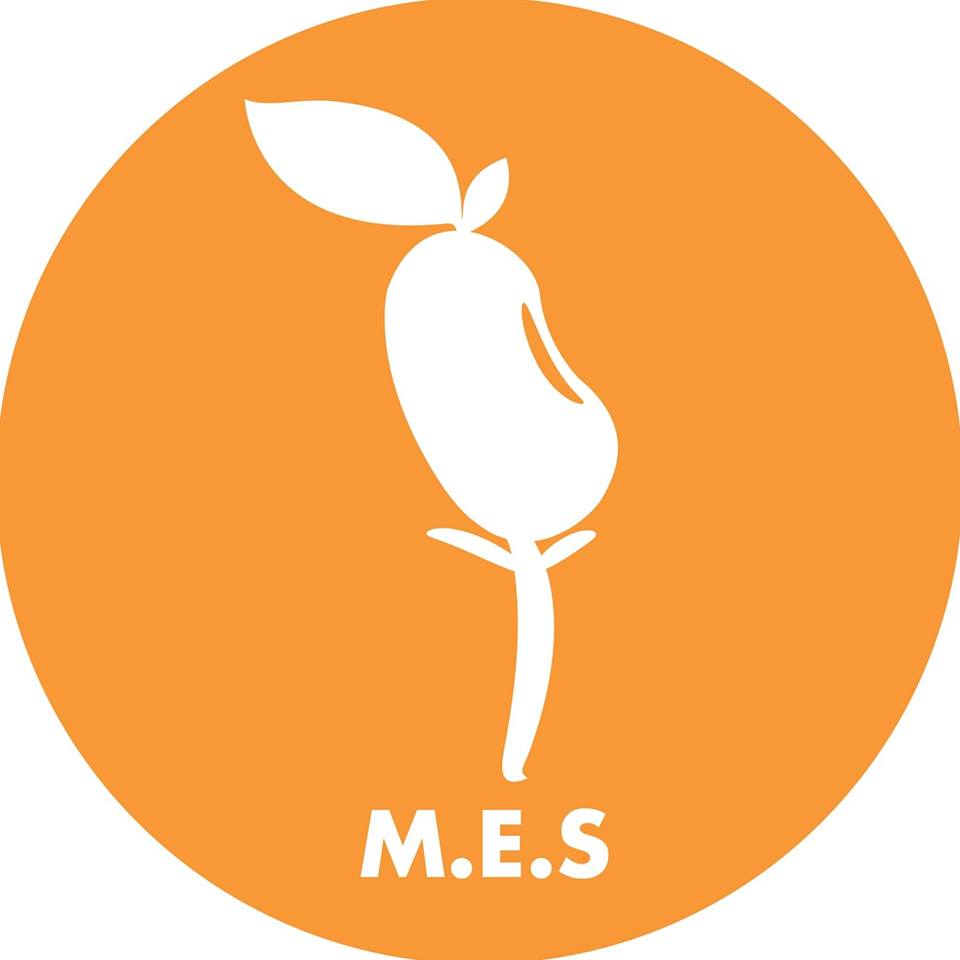 Trường mầm non M.E School ( MES) - CS2 Thịnh Liệt