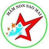 Trường mầm non song ngữ Sao Mai - Cầu Bươu, Tả Thanh Oai