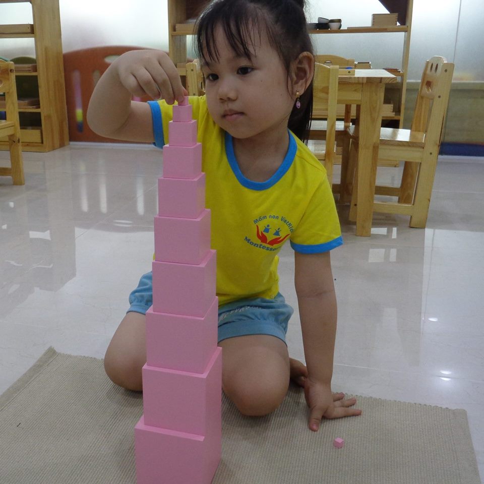 Trường mầm non song ngữ Vietkids Montessori - Đại Thanh