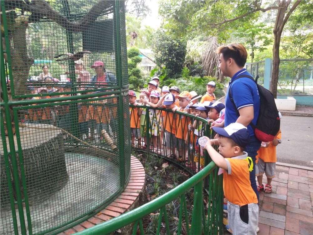 Trường mầm non Tân Sơn Nhất - Phường 4