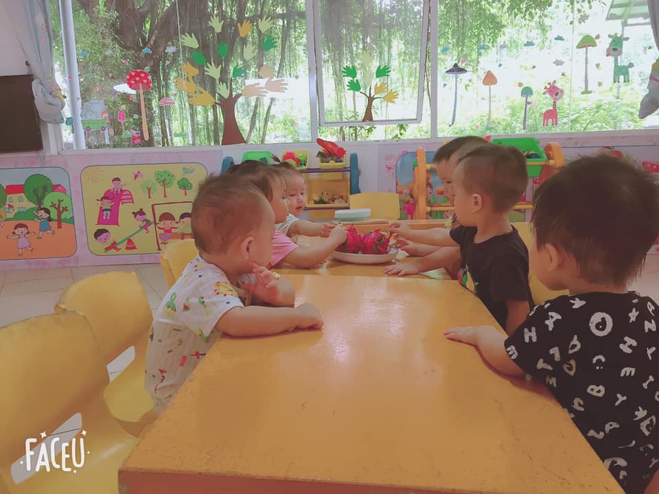 Trường mầm non Thái Hải - Quang Trung