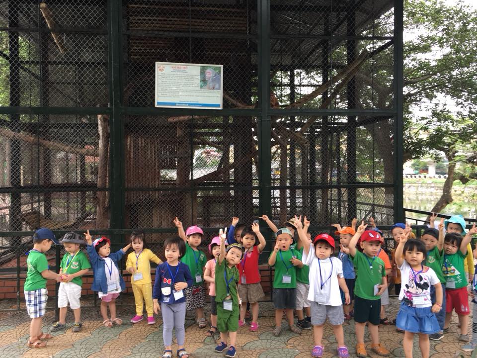 Trường mầm non Thái Học - 16B Nguyễn Thái Học