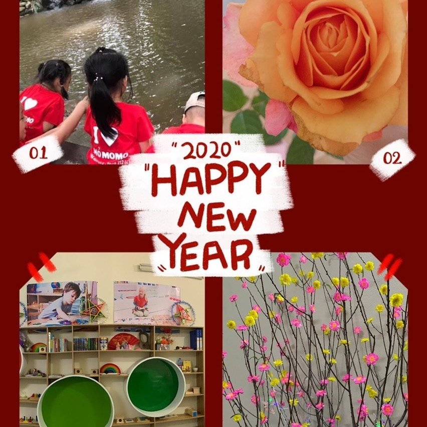 Trường mầm non Thỏ MoMo - Vân Nội