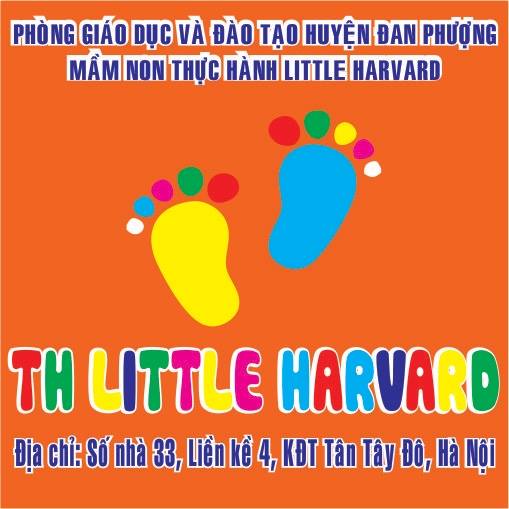 Trường mầm non Thực Hành LITTLE HARVARD - Tân Tây Đô