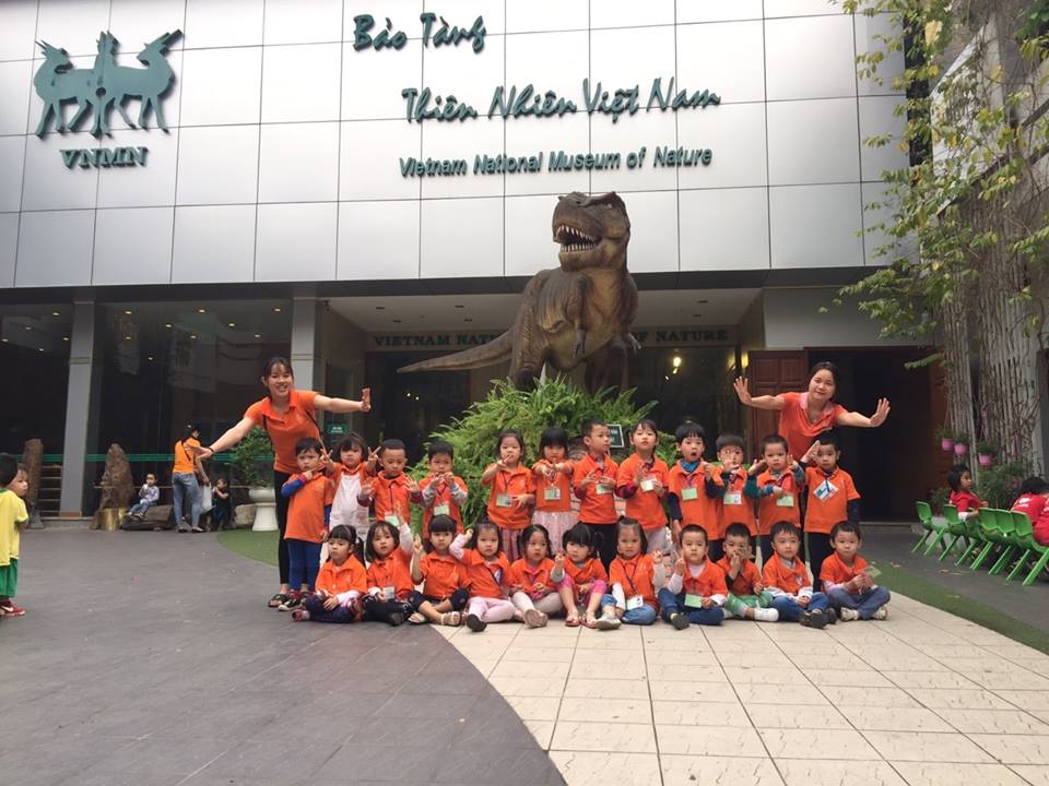 Trường mầm non Việt - Anh Montessori - Hoàng Cầu