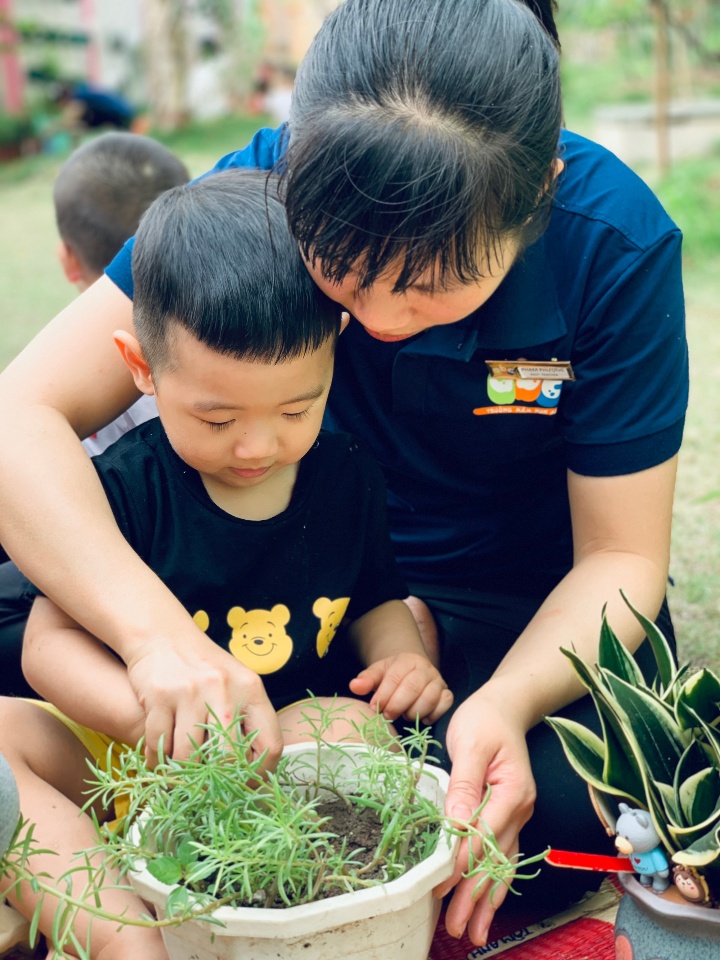 Đội ngũ giáo viên