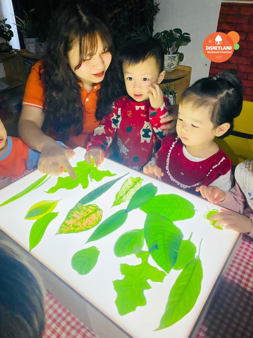 Đội ngũ giáo viên