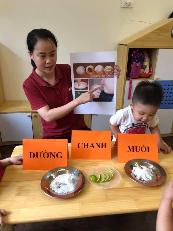 Đội ngũ giáo viên