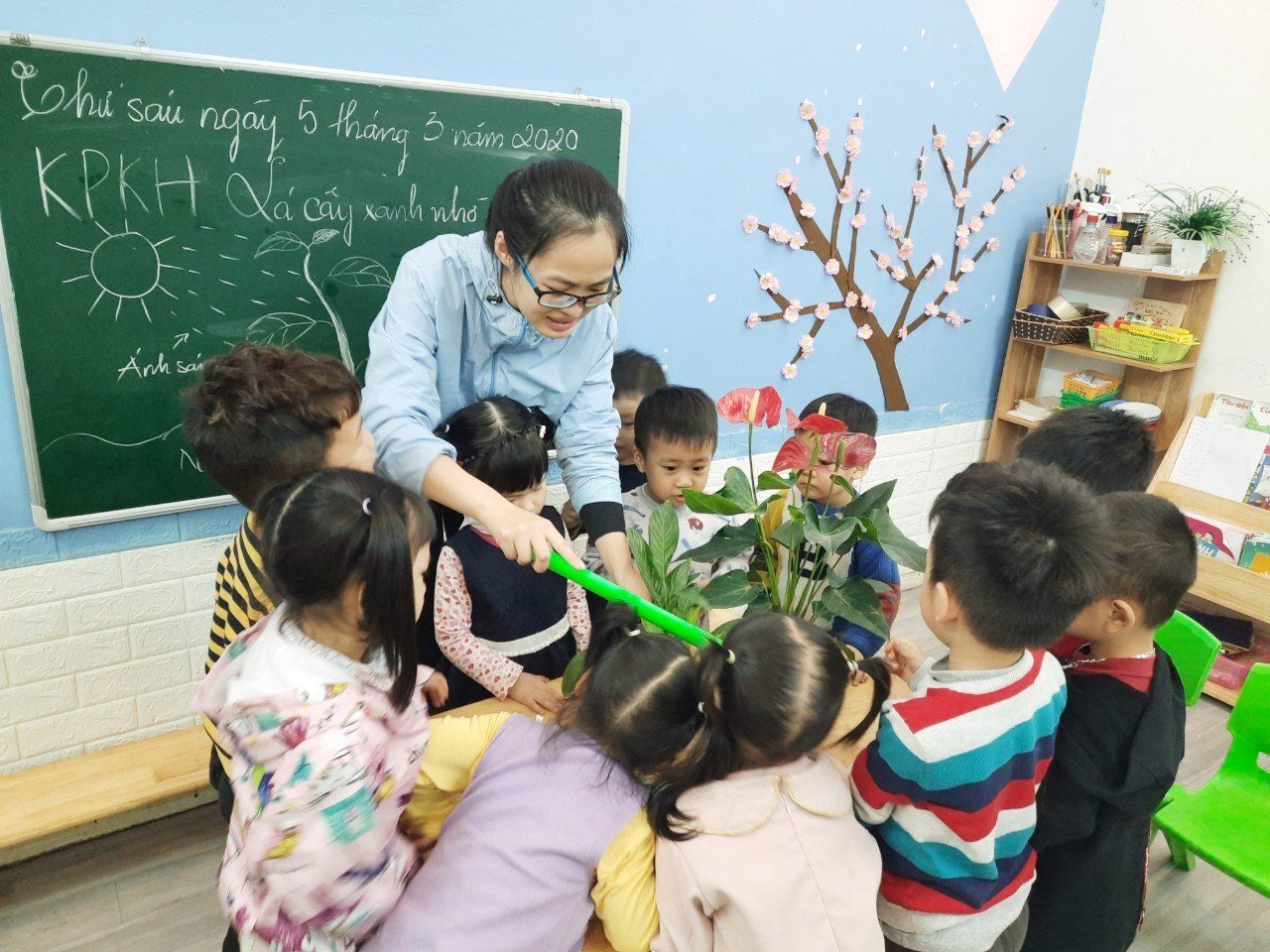 Chương trình học