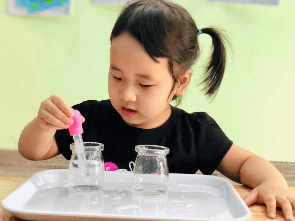 Chương trình học