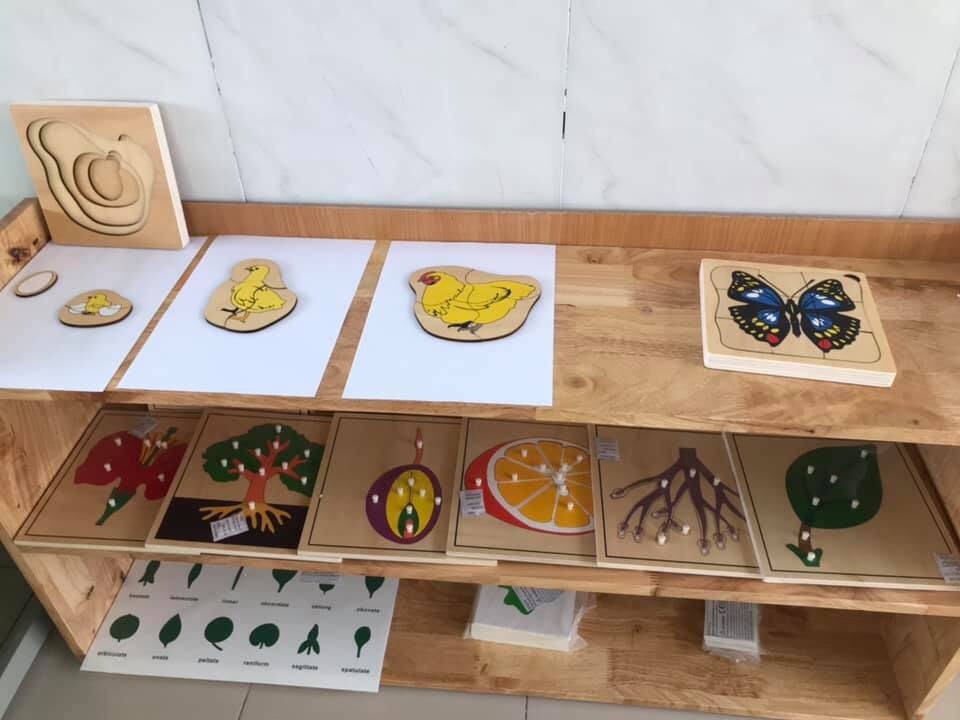 co-so-vat-chat co-so-vat-chat