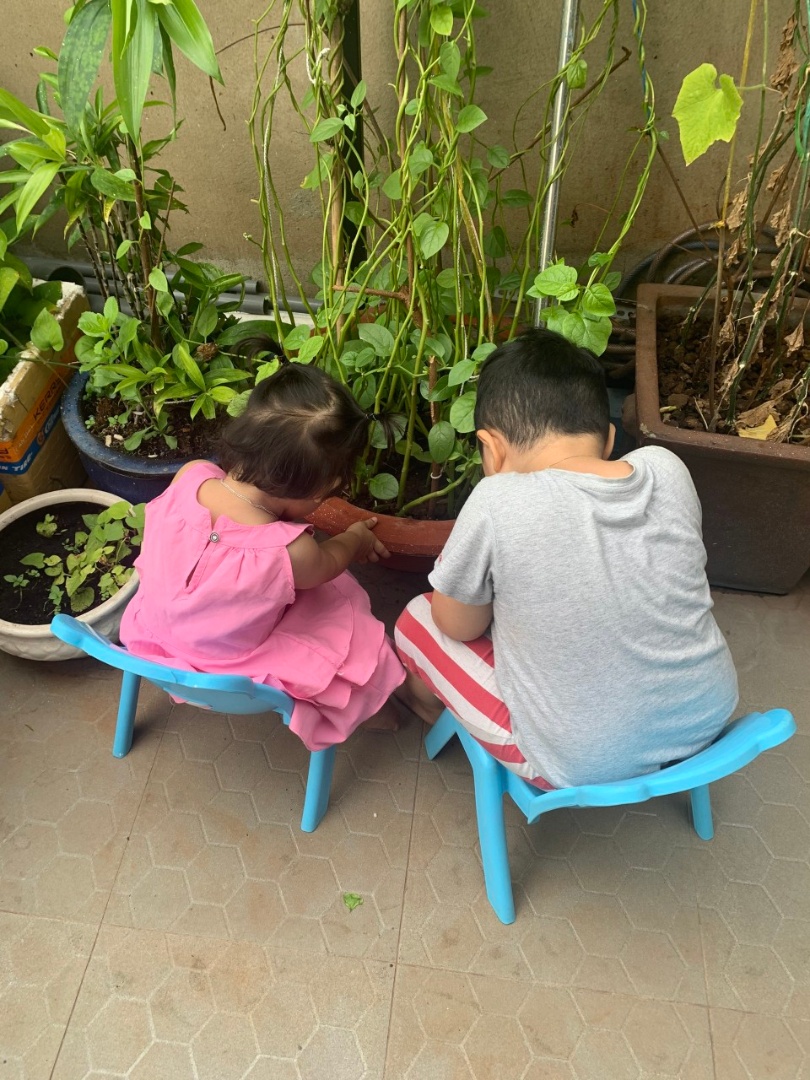 Dịch vụ và tiện ích