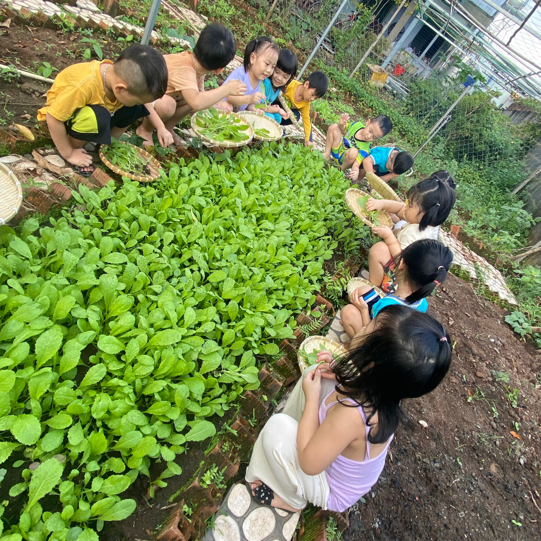 Dịch vụ và tiện ích