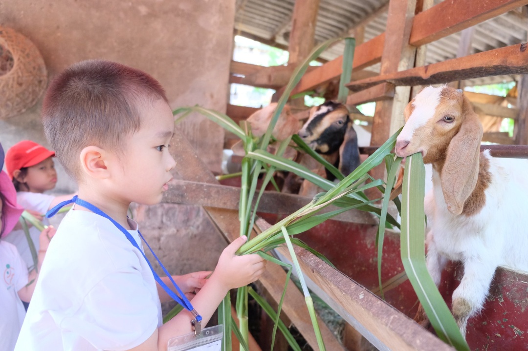 Dịch vụ và tiện ích