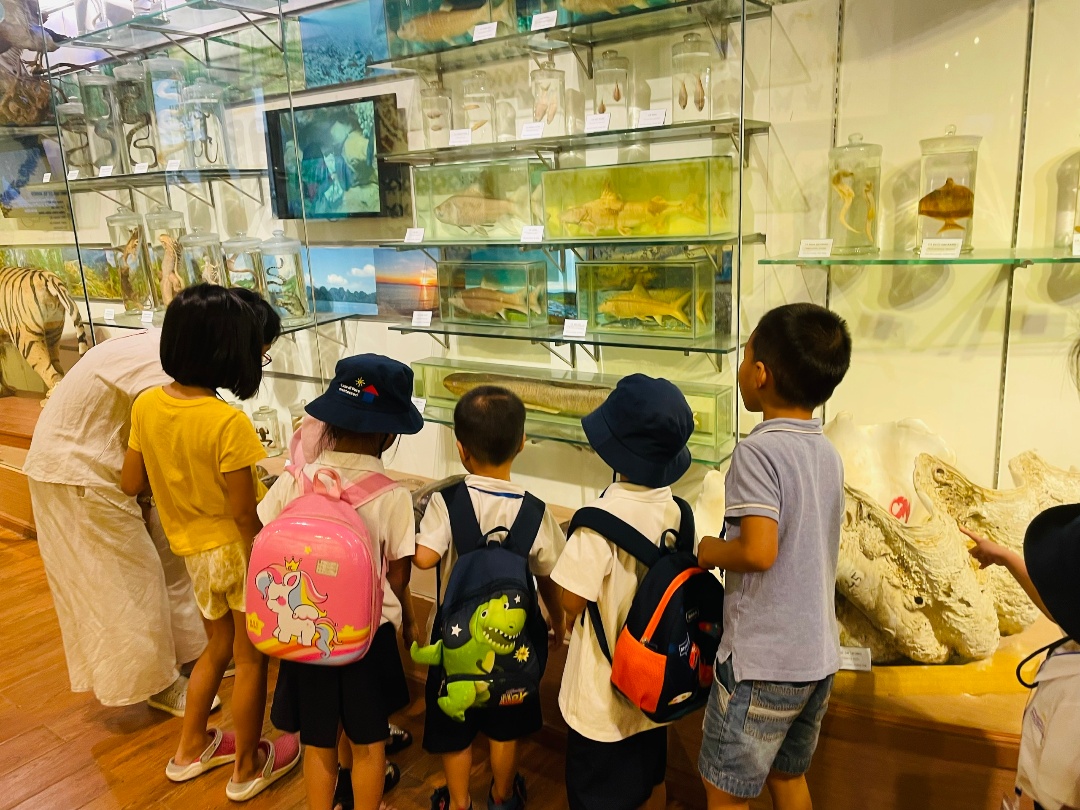 Dịch vụ và tiện ích