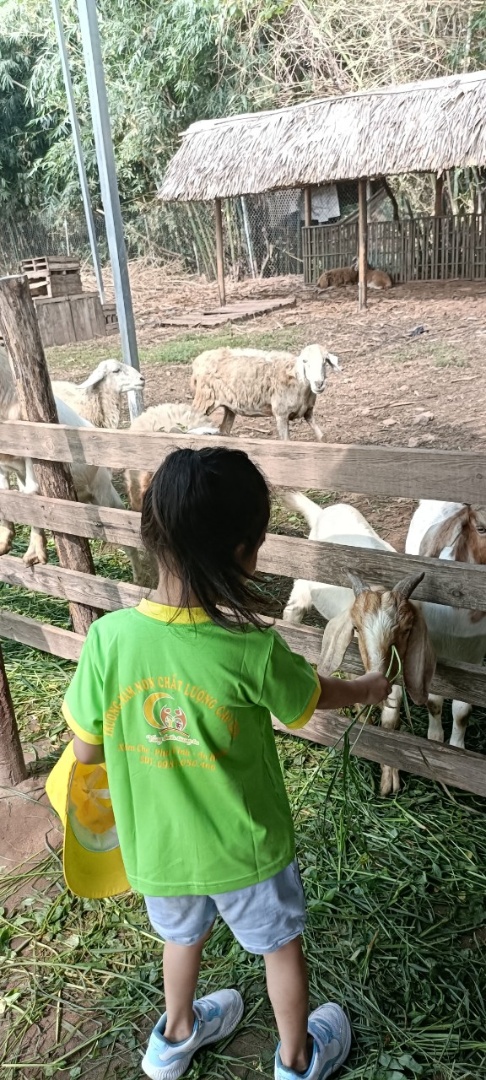 Dịch vụ và tiện ích