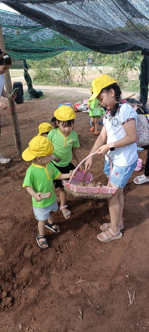 Dịch vụ và tiện ích