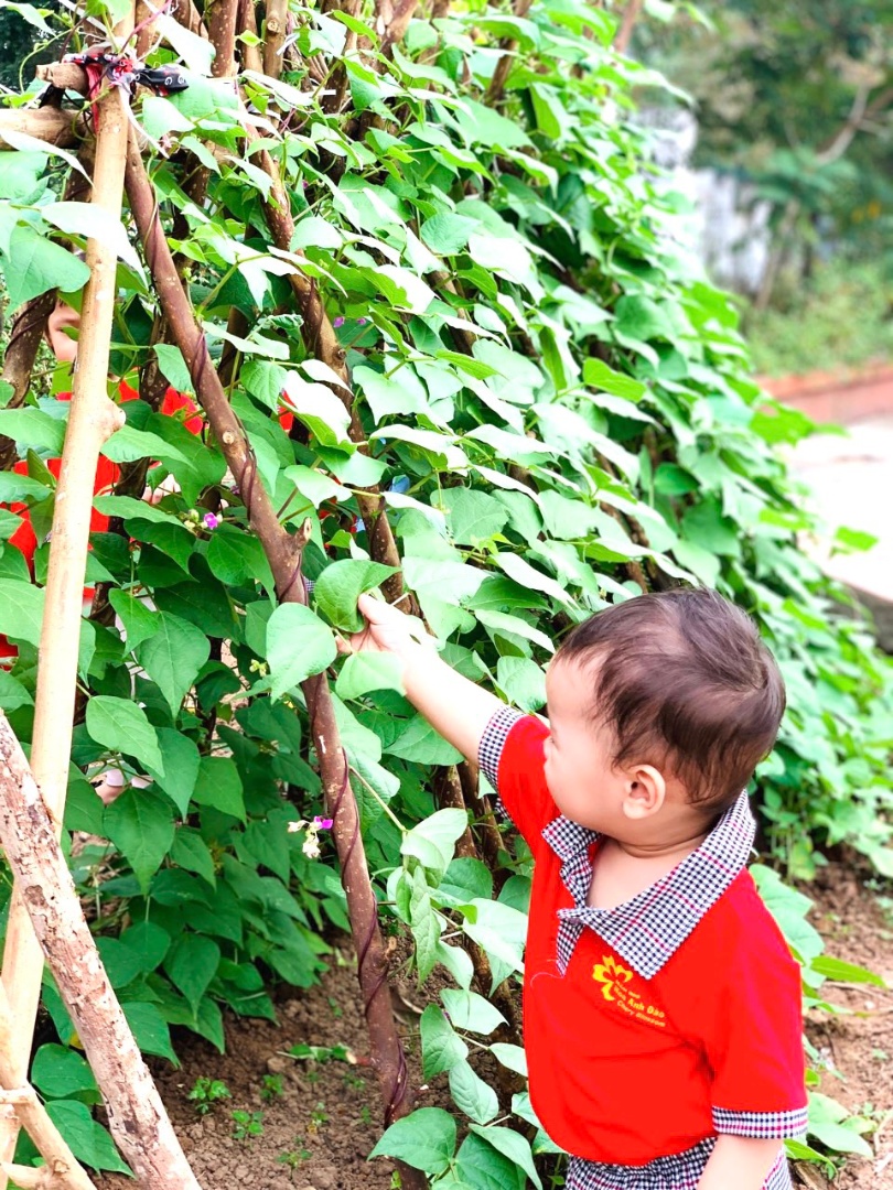 Dịch vụ và tiện ích
