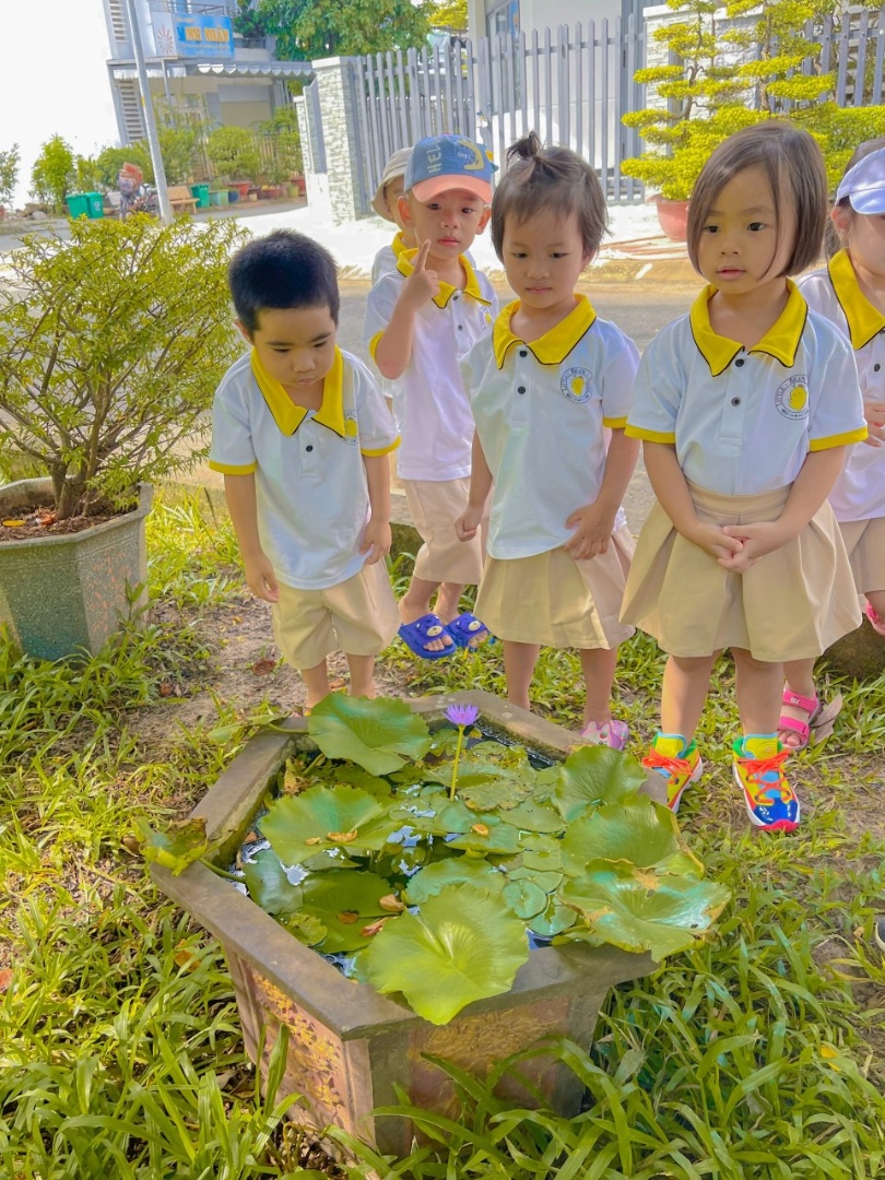 Dịch vụ và tiện ích