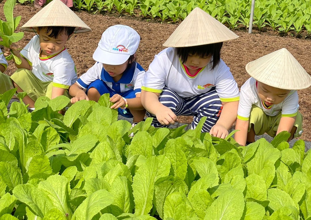 Dịch vụ và tiện ích