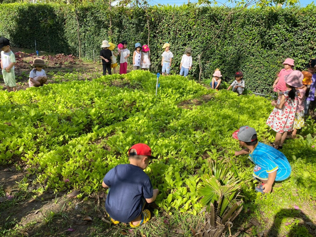 co-so-vat-chat co-so-vat-chat