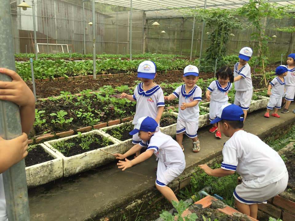 tien-ich-dich-vu tien-ich-dich-vu