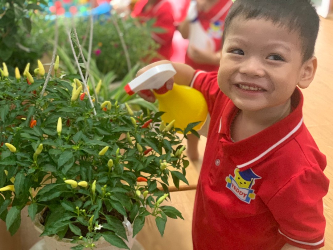 Dịch vụ và tiện ích