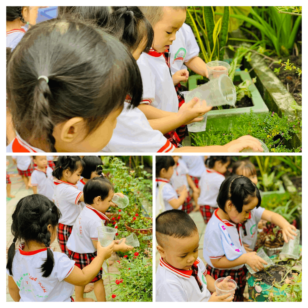 Dịch vụ và tiện ích