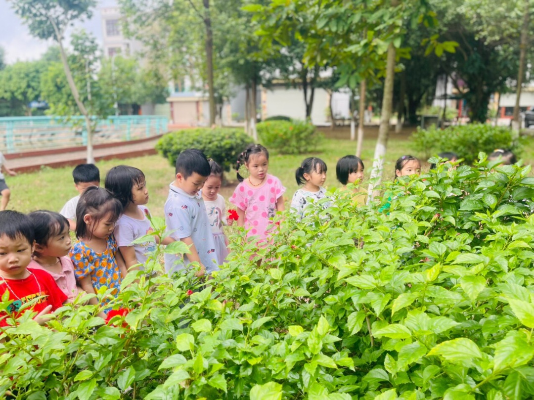 Dịch vụ và tiện ích