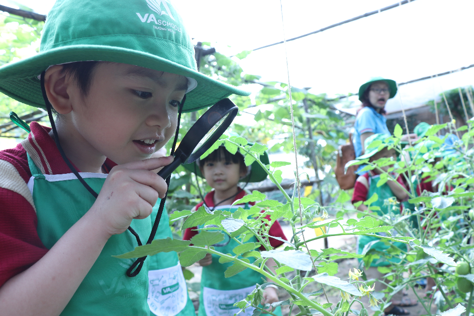 tien-ich-dich-vu tien-ich-dich-vu