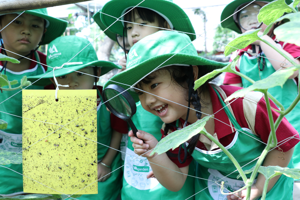 tien-ich-dich-vu tien-ich-dich-vu