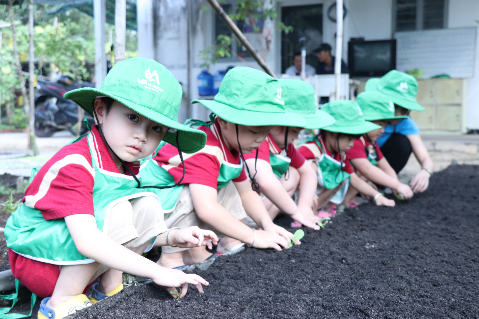 tien-ich-dich-vu tien-ich-dich-vu