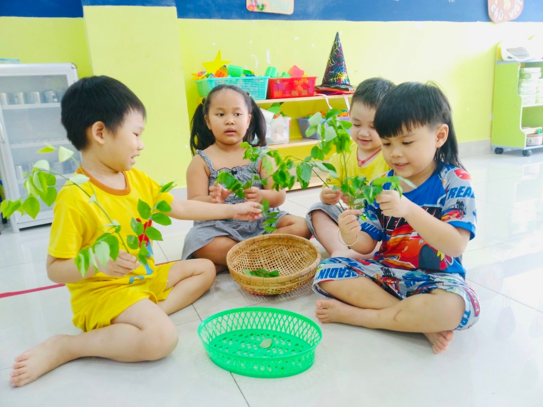 Dịch vụ và tiện ích