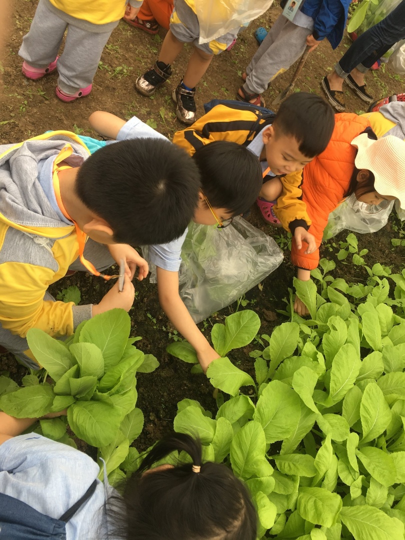 Dịch vụ và tiện ích