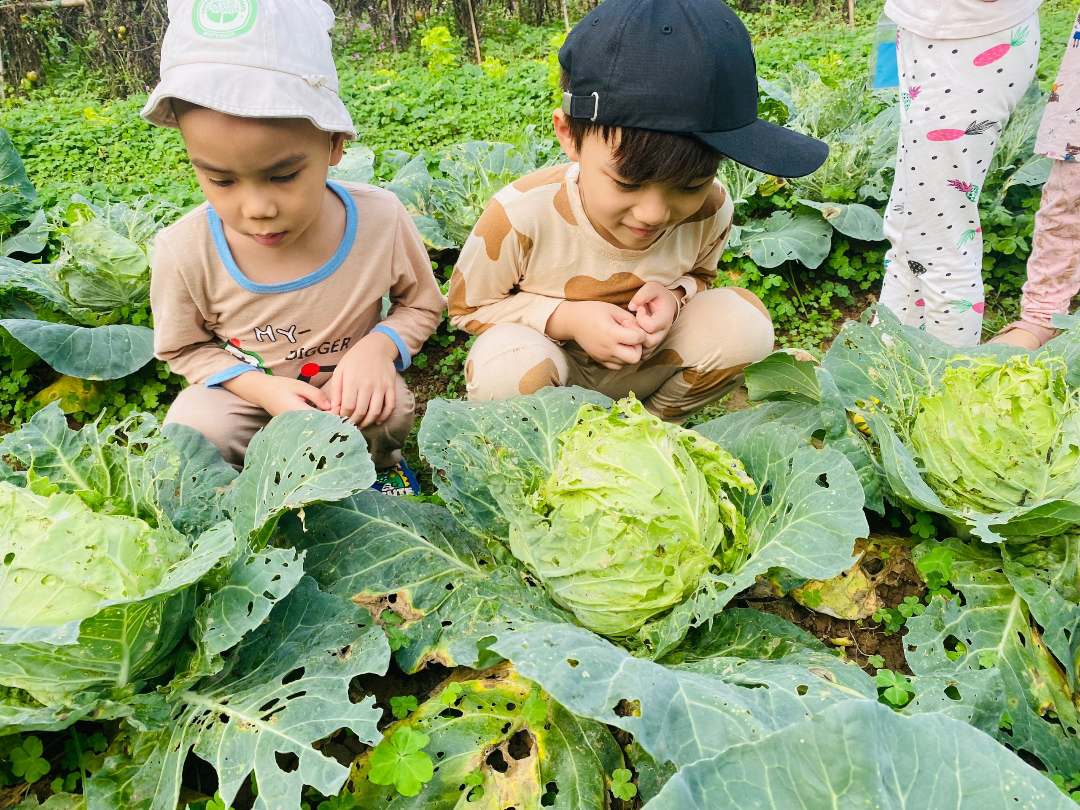 Dịch vụ và tiện ích