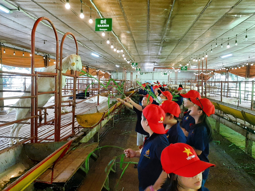 Dịch vụ và tiện ích