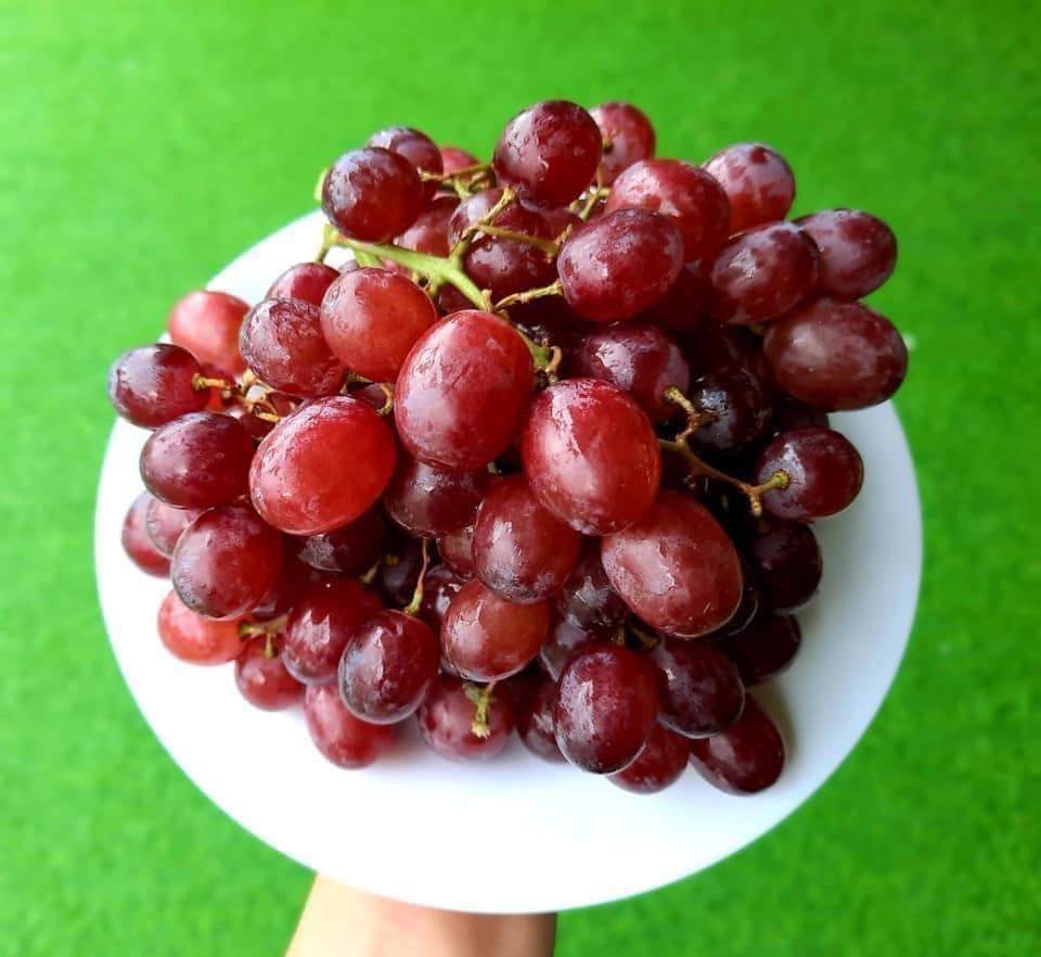 Chế độ dinh dưỡng